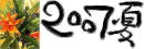 �R�����E�Q�O�O�V�N�E��