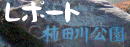 �`�c��������|�[�g