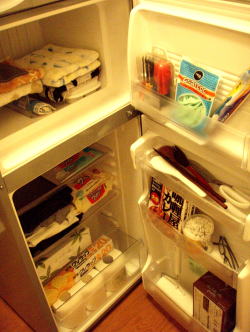 棚として生まれ変わる冷蔵庫